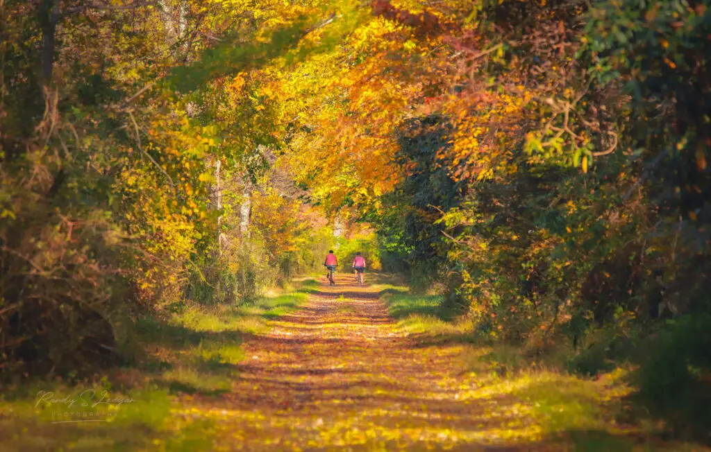 Bike Path in the fall