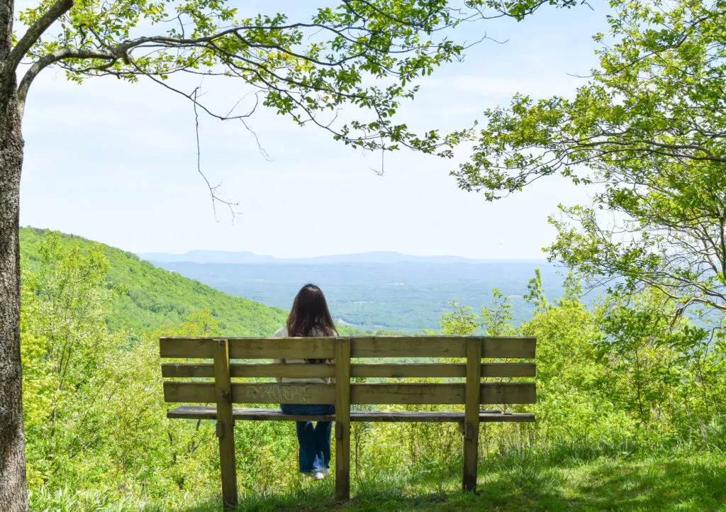 Devils Den overlook, Person sitting on bench at overlook